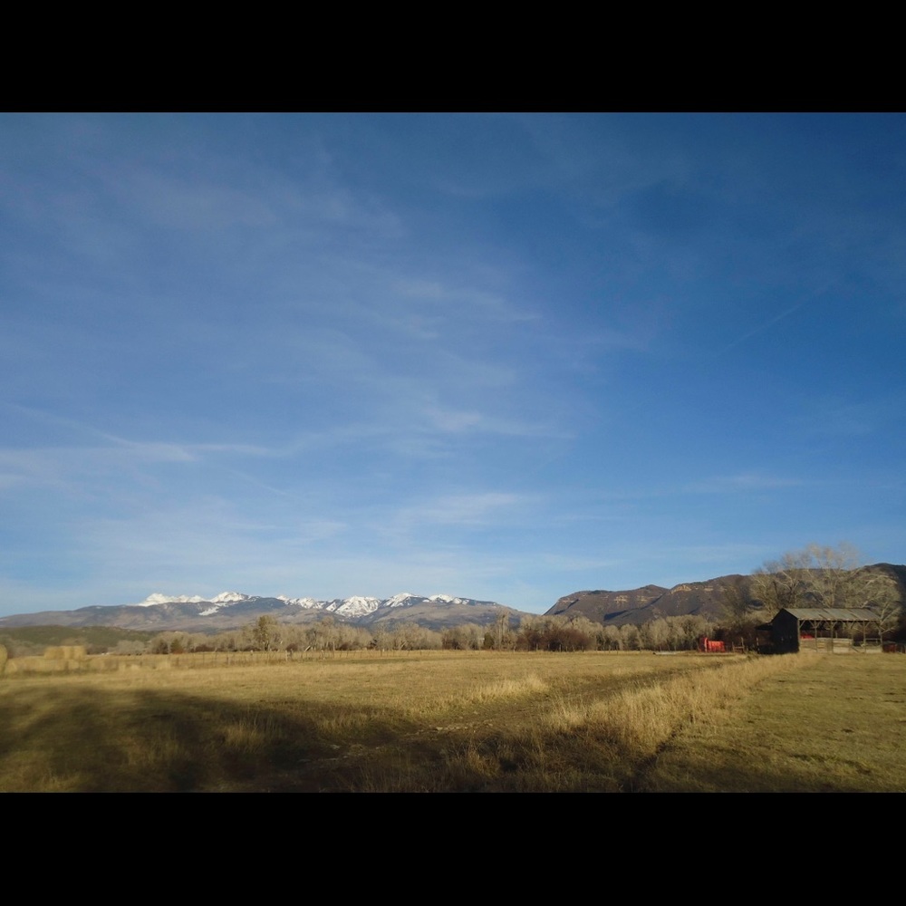 Meet your Posher, Rochelle - Picture 6 of 16